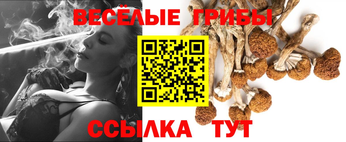 Галлюциногенные грибы прущие грибы Камышин
