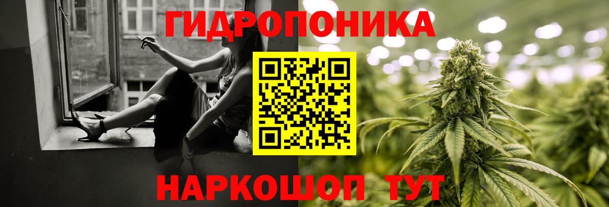 Бошки Шишки OG Kush  Вход с VPN  Конопля OG Kush  Камышин 